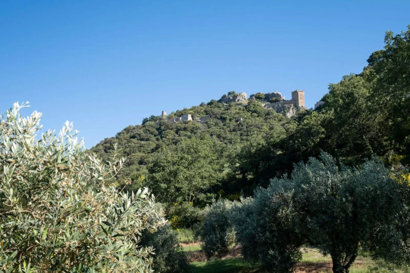 Mérindol les Oliviers