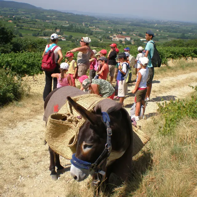 Domaine des Adrès