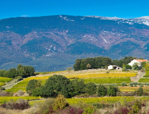Mont Ventoux
