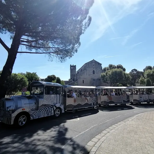 Petit Train de Vaison
